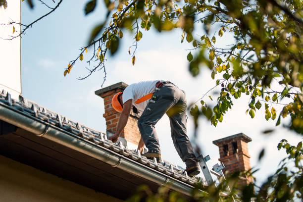 Best Flat Roofing  in Park River, ND