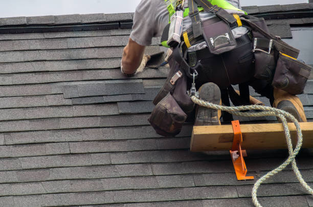 Gutter Replacement in Park River, ND
