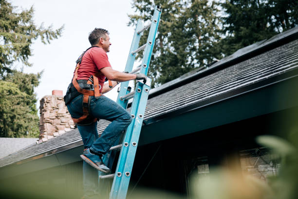 Reliable Park River, ND Roofing Services Solutions